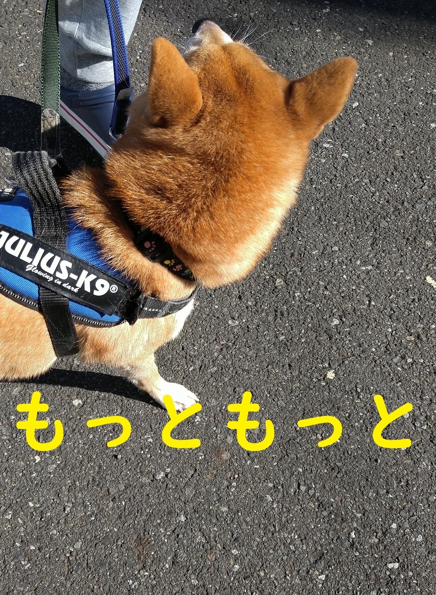 f:id:hanatara:20211121125847j:plain