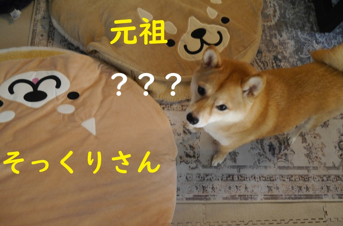 f:id:hanatara:20211123092004j:plain