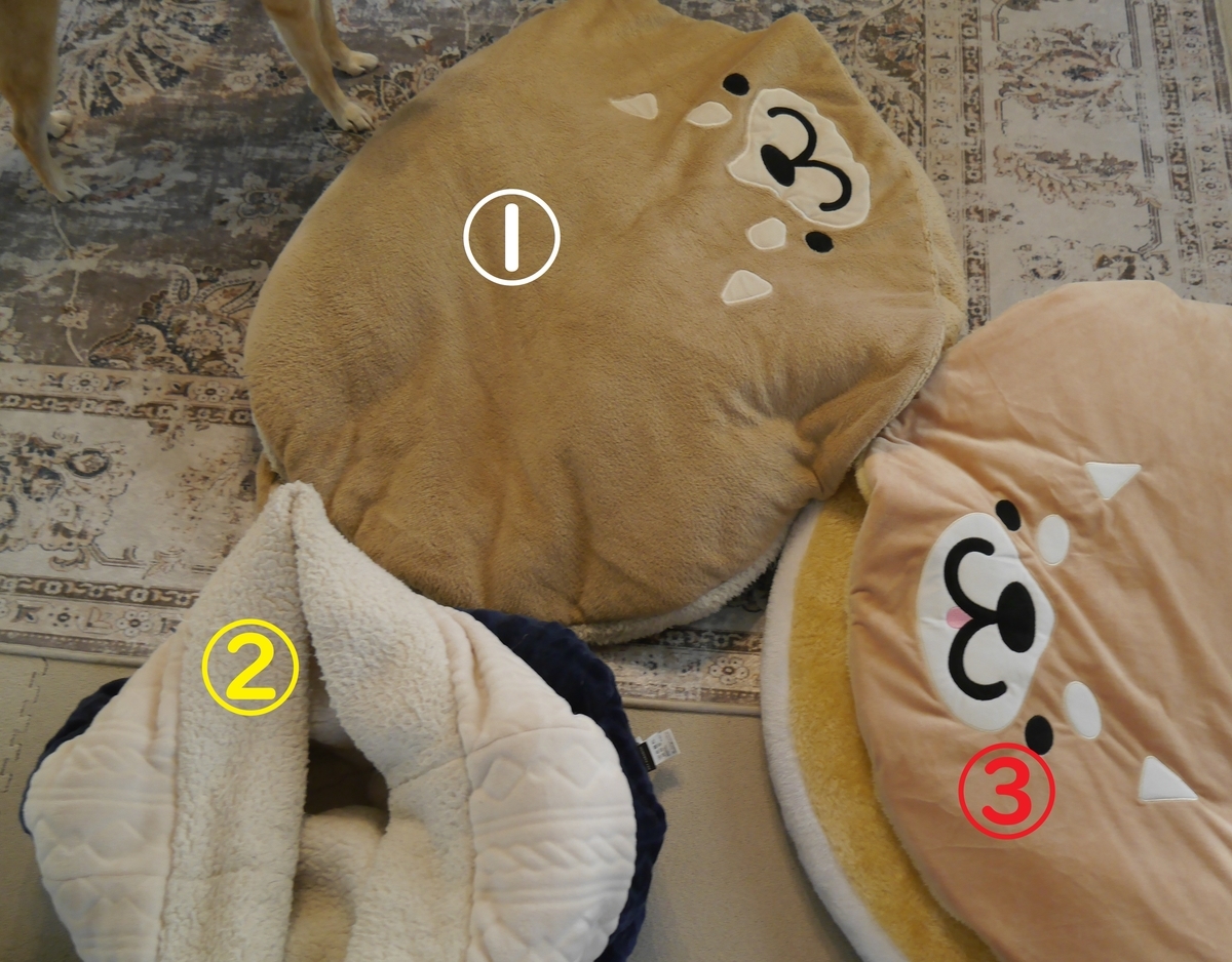 f:id:hanatara:20211123092554j:plain