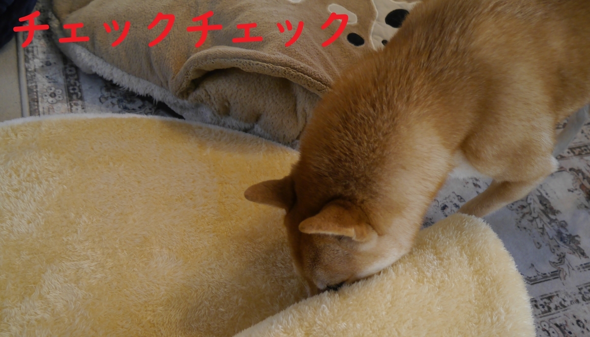 f:id:hanatara:20211123092815j:plain