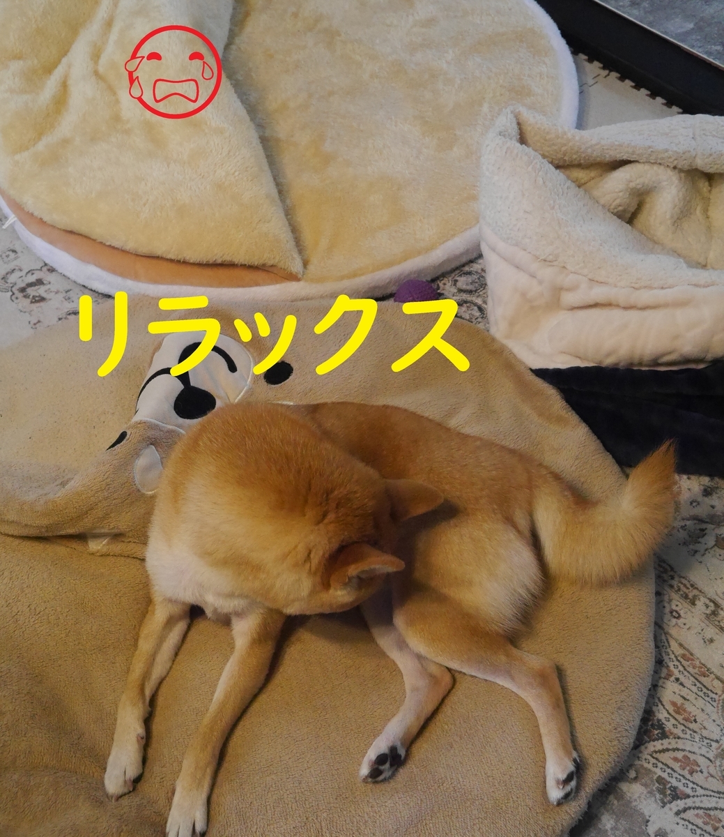 f:id:hanatara:20211123093657j:plain