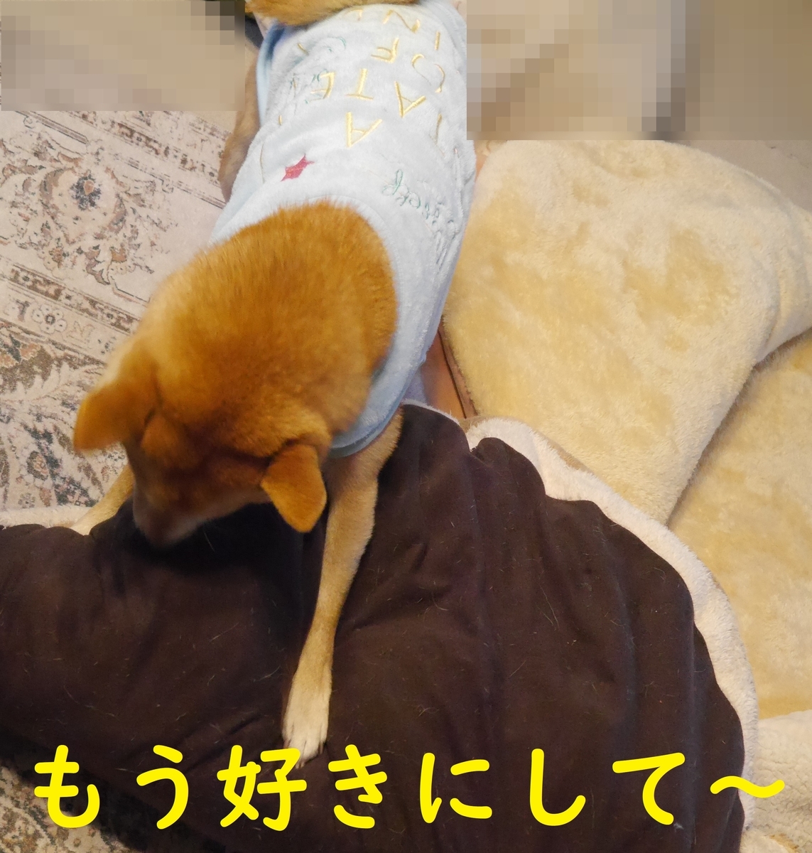 f:id:hanatara:20211123104313j:plain