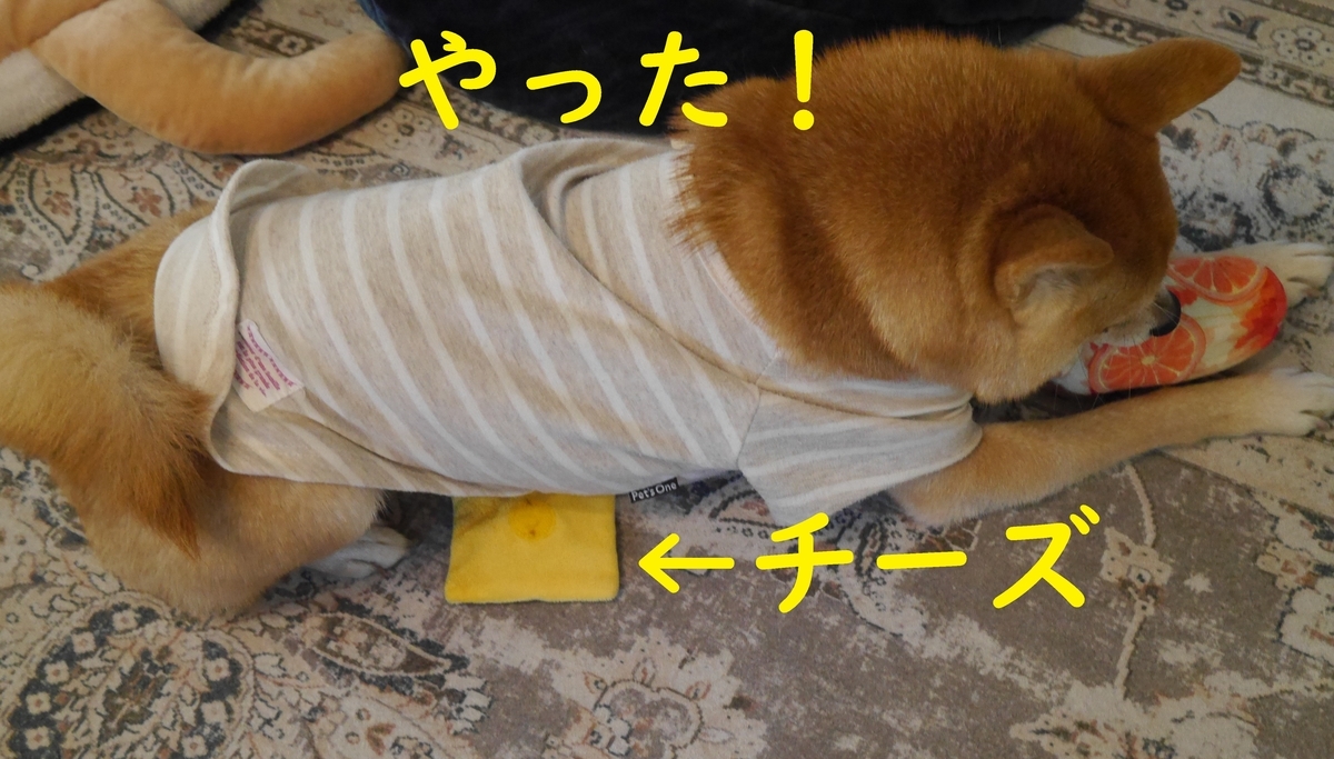 f:id:hanatara:20211217111127j:plain