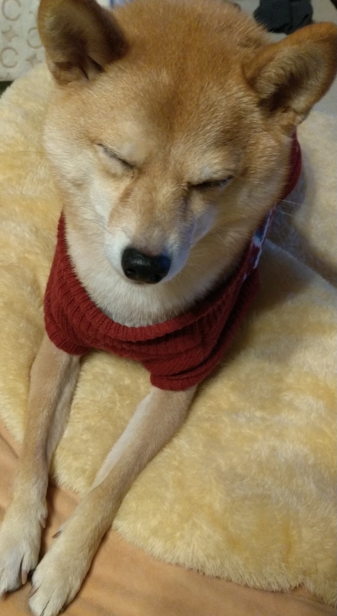 f:id:hanatara:20211226081843j:plain