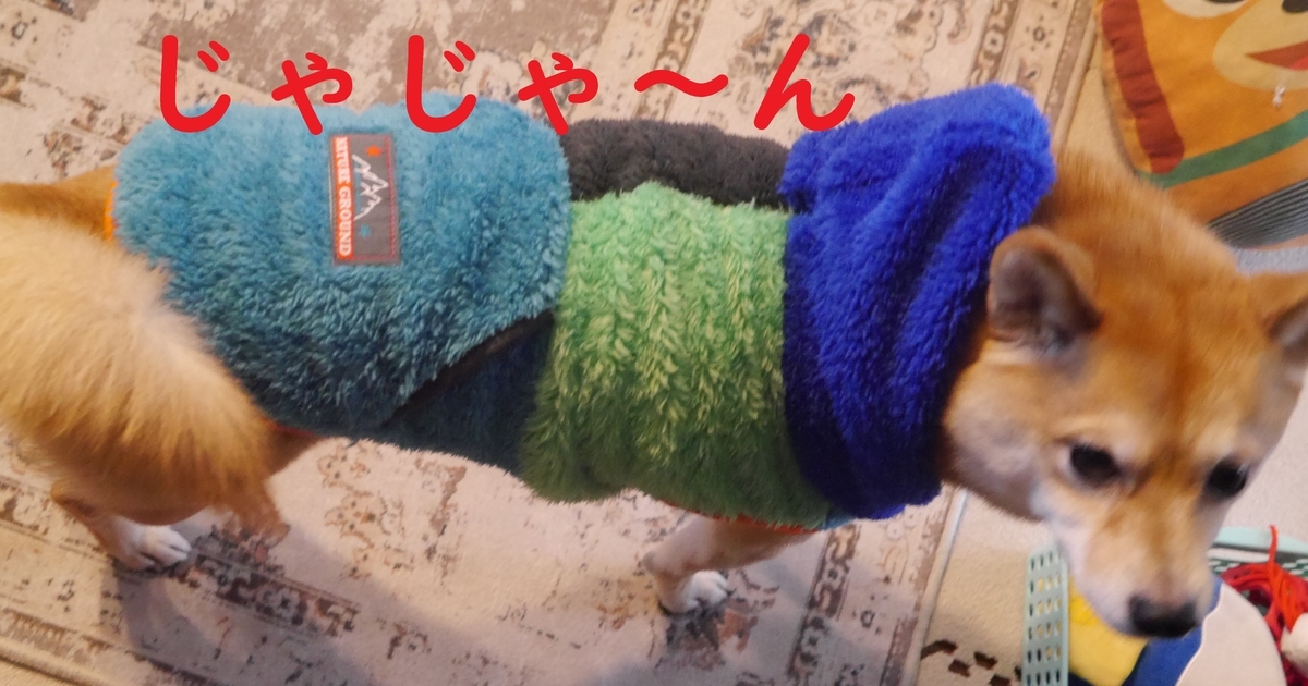f:id:hanatara:20220103112605j:plain