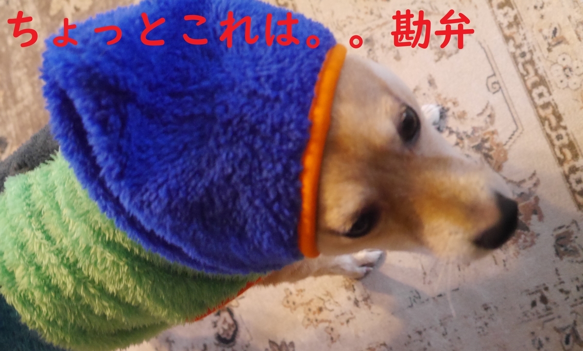 f:id:hanatara:20220103112855j:plain