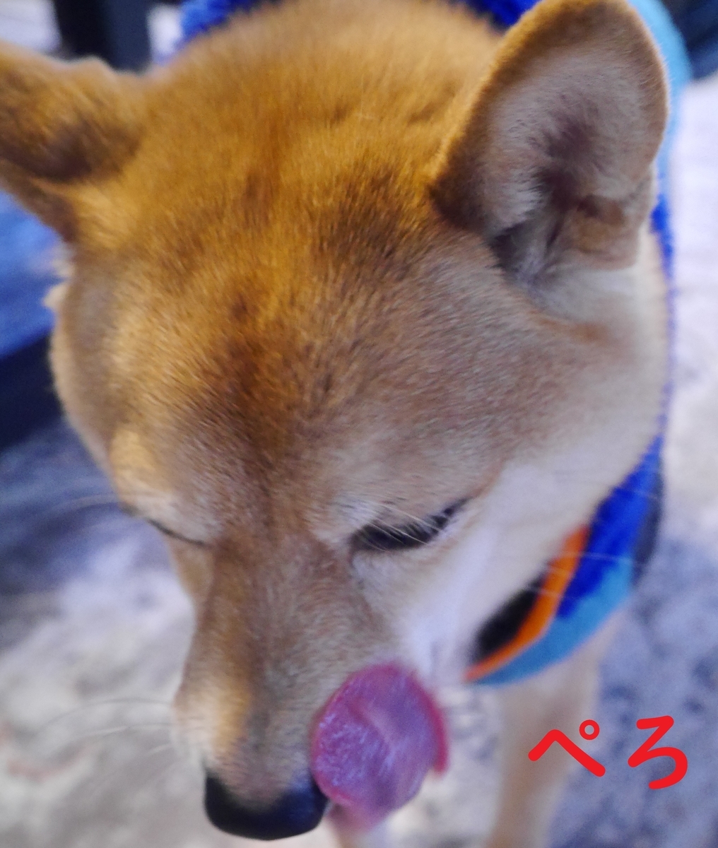 f:id:hanatara:20220103113300j:plain