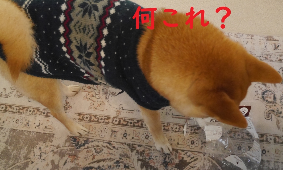 f:id:hanatara:20220122121646j:plain
