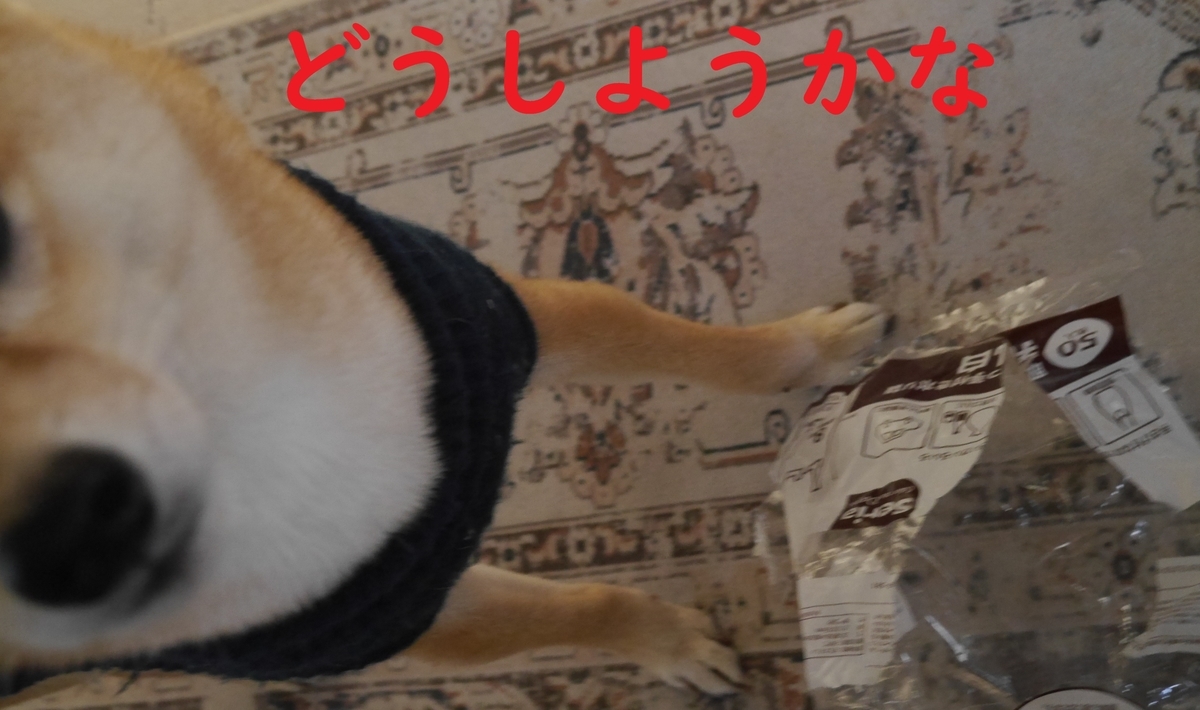 f:id:hanatara:20220122121745j:plain