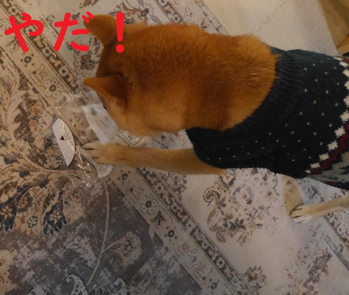 f:id:hanatara:20220122121908j:plain