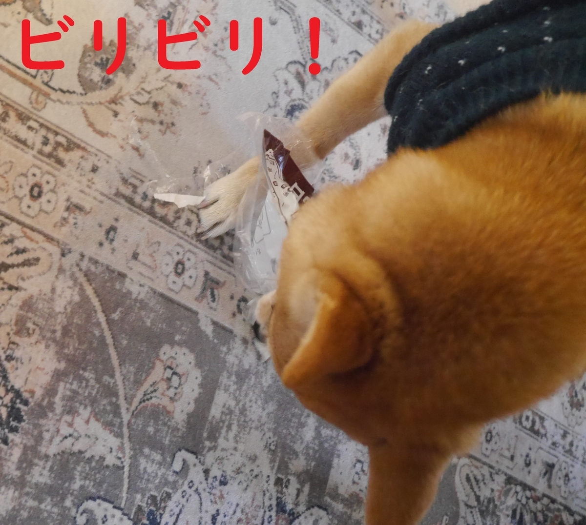 f:id:hanatara:20220122121946j:plain