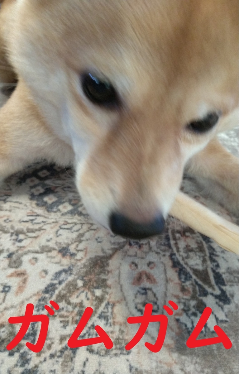 f:id:hanatara:20220123112751j:plain