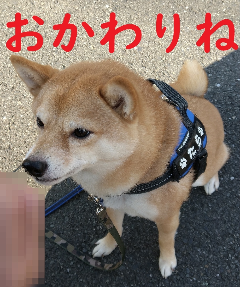 f:id:hanatara:20220201094848j:plain