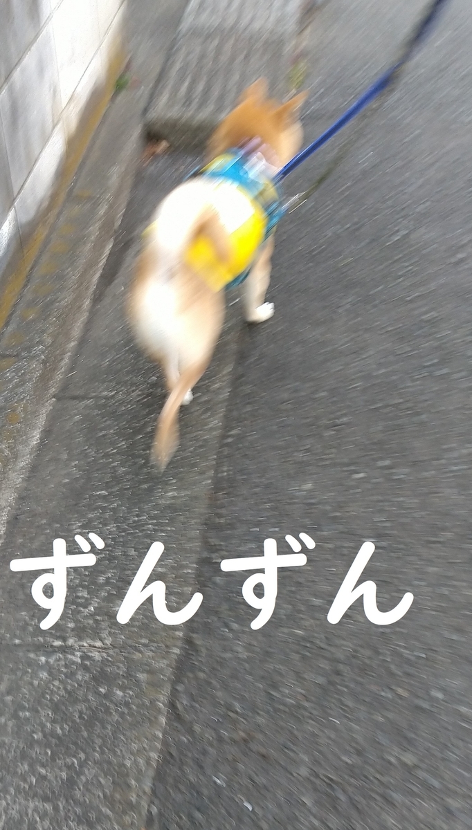 f:id:hanatara:20220206091608j:plain