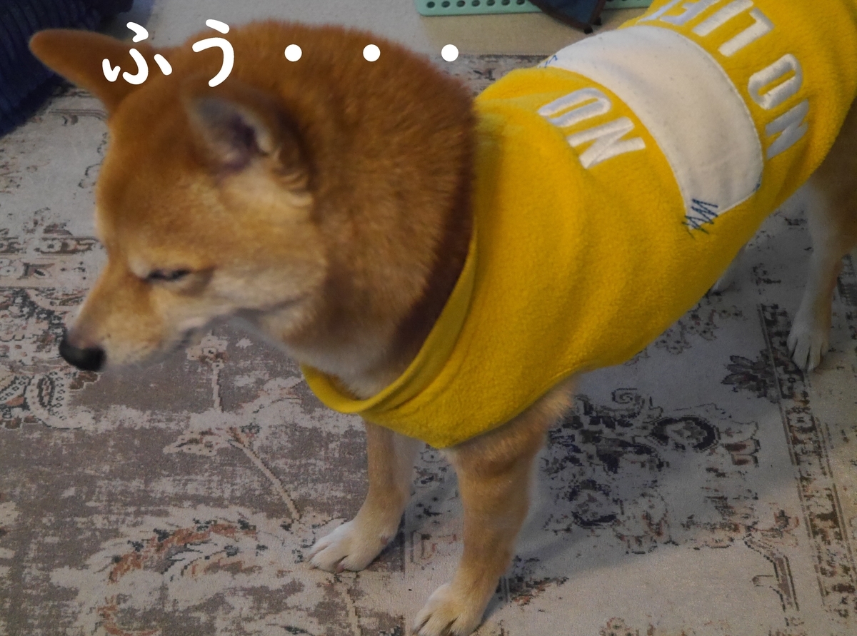 f:id:hanatara:20220206095644j:plain