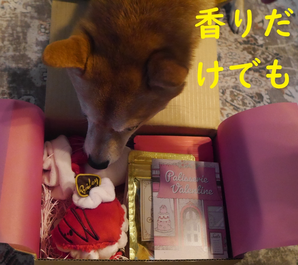 f:id:hanatara:20220213113300j:plain