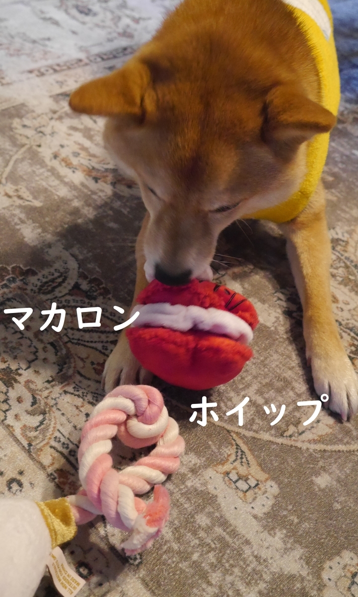 f:id:hanatara:20220213113858j:plain