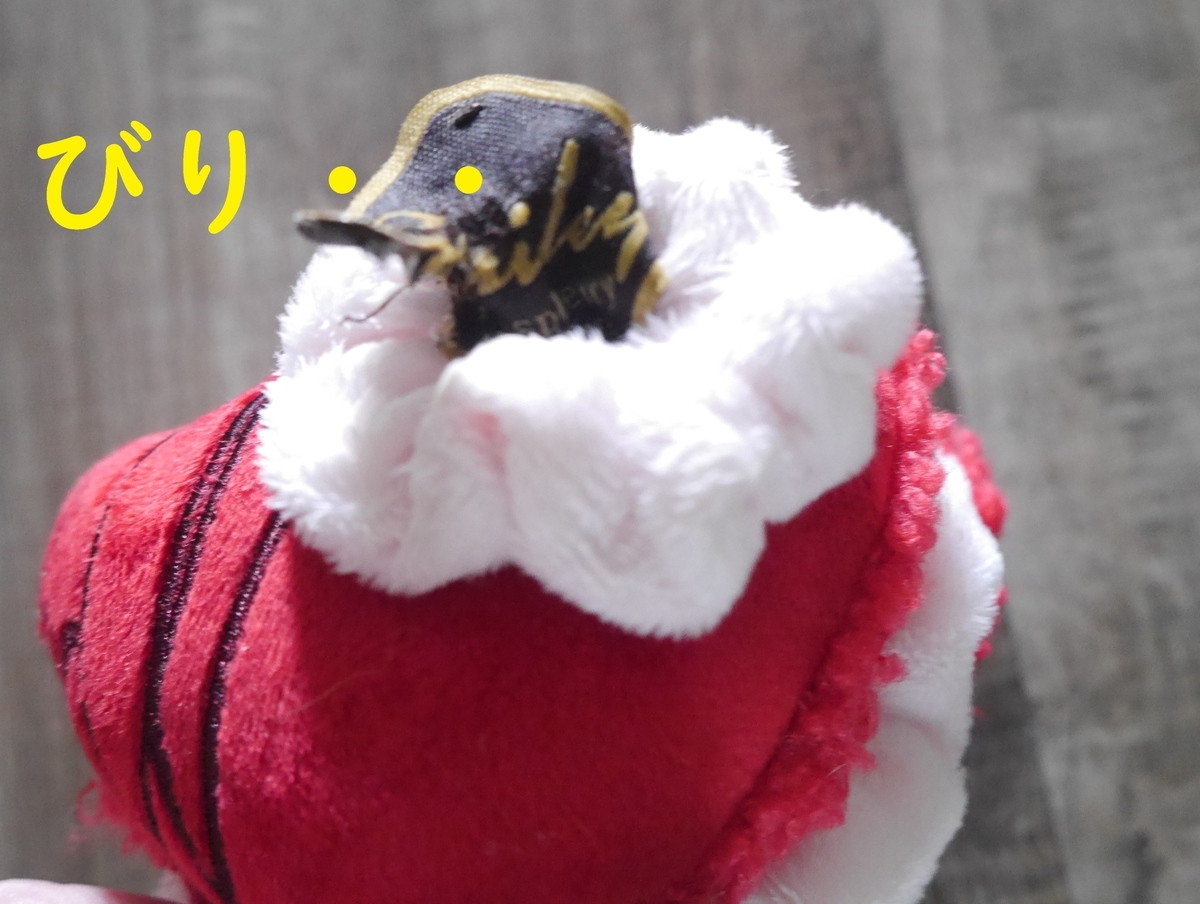 f:id:hanatara:20220213114453j:plain