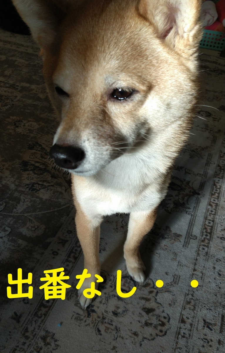 f:id:hanatara:20220215104853j:plain