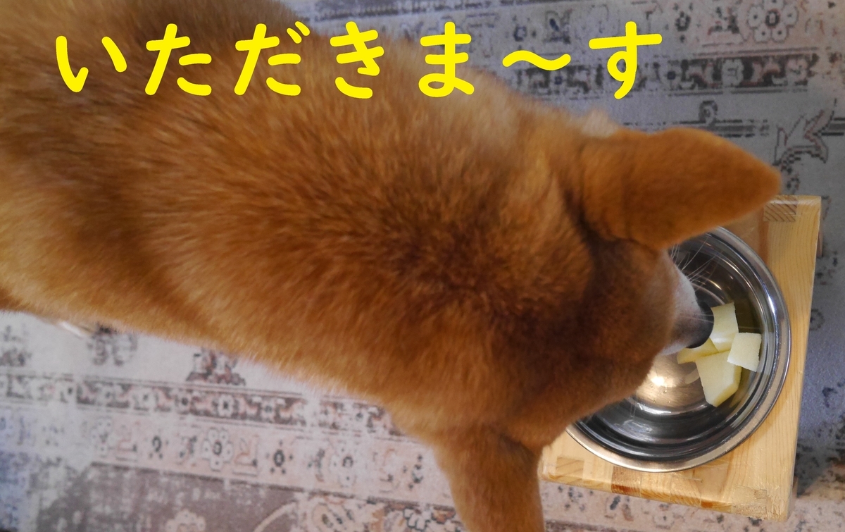 f:id:hanatara:20220215130509j:plain