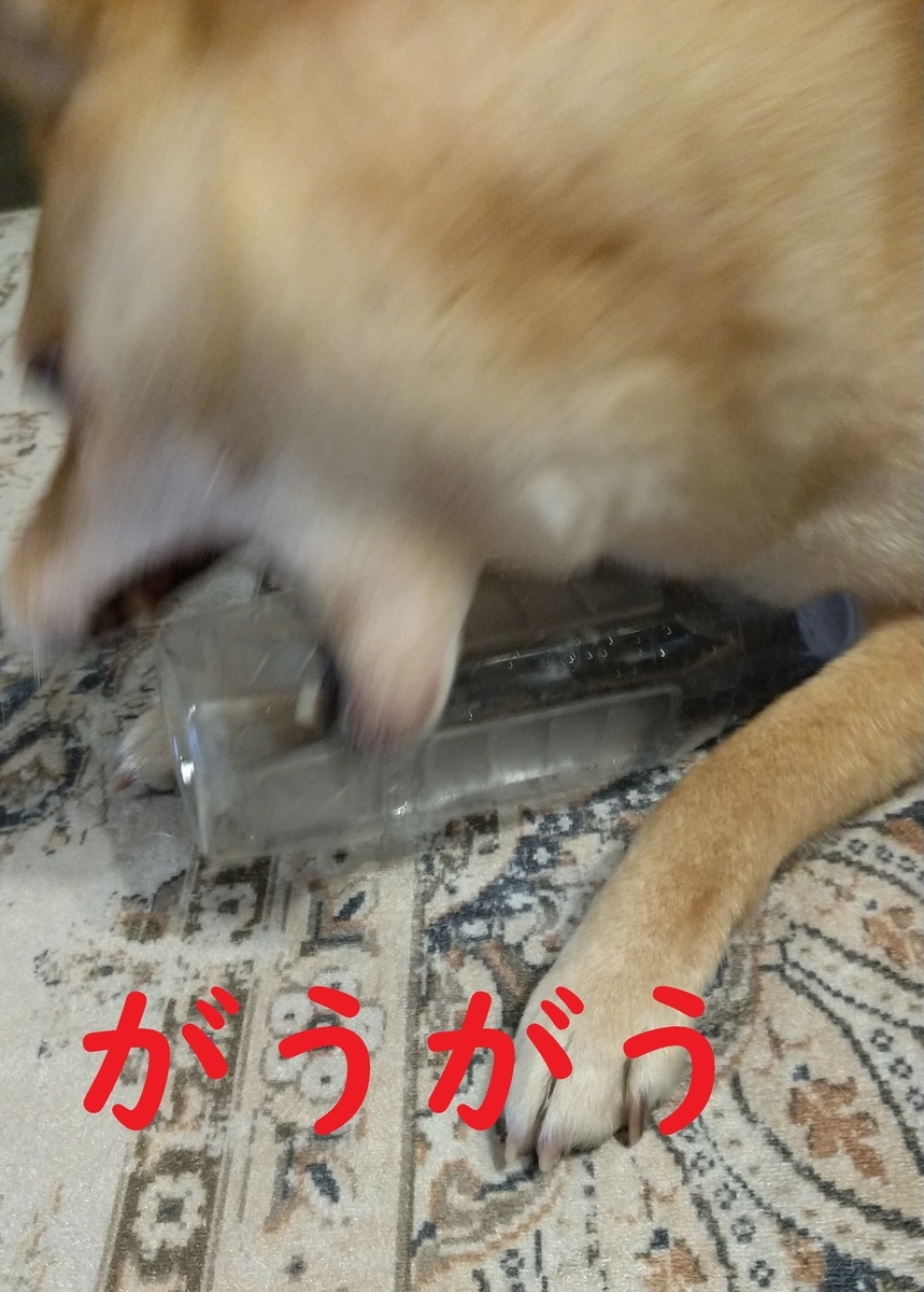 f:id:hanatara:20220220102821j:plain