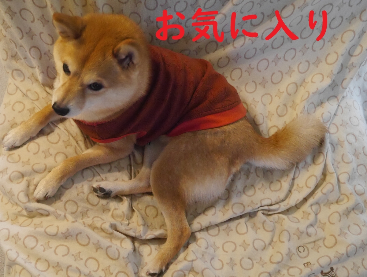 f:id:hanatara:20220226084423j:plain