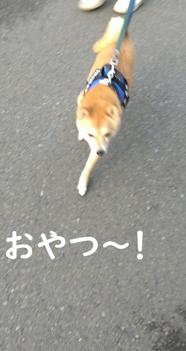 f:id:hanatara:20220321095913j:plain