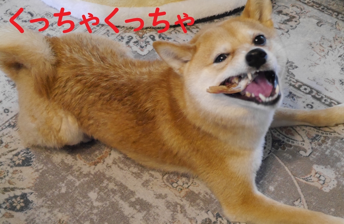 f:id:hanatara:20220321112436j:plain