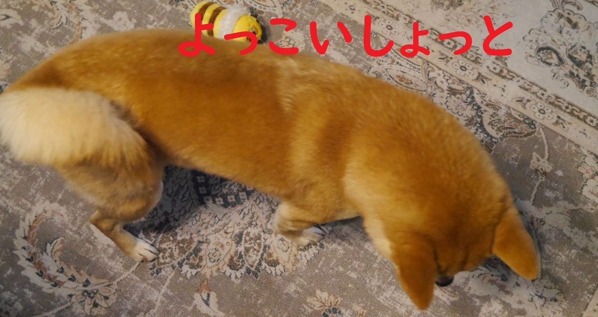 f:id:hanatara:20220408103619j:plain