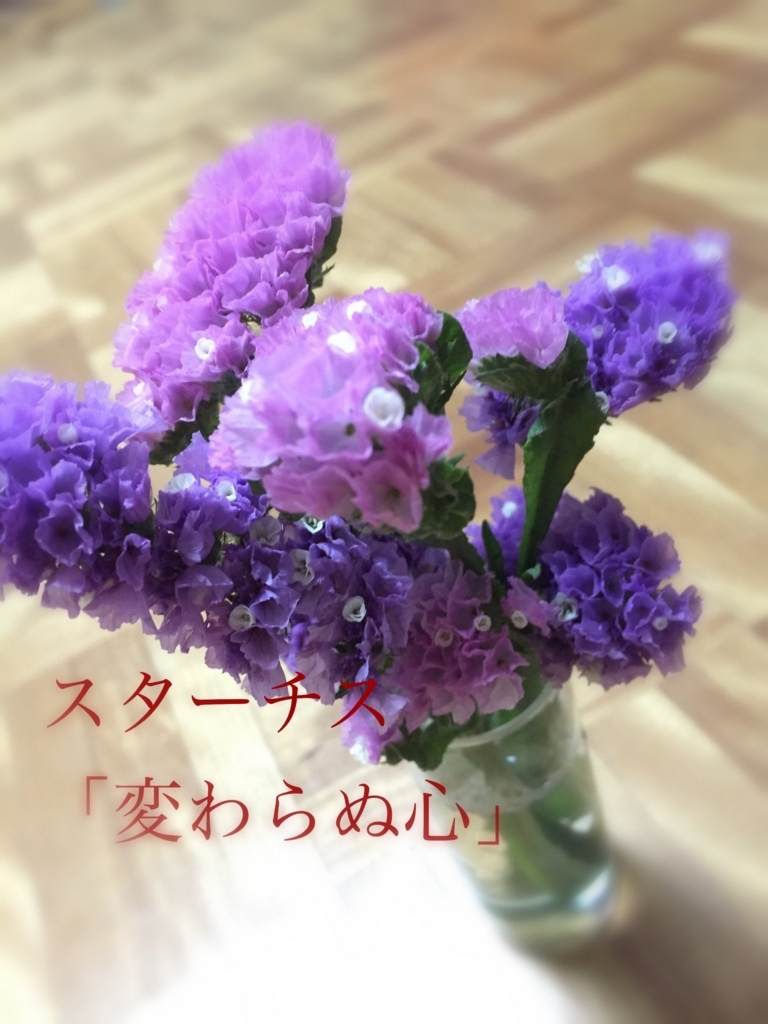 f:id:hanatarehanatan:20180607124811j:plain f:id:hanatarehanatan:20180607124811j:plain