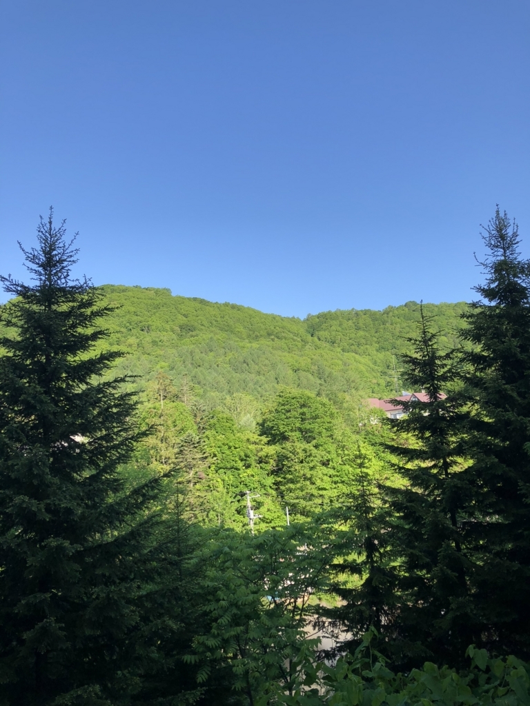 f:id:hanatarehanatan:20180619161433j:plain f:id:hanatarehanatan:20180619161433j:plain