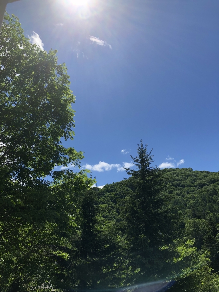 f:id:hanatarehanatan:20180625230035j:plain f:id:hanatarehanatan:20180625230035j:plain