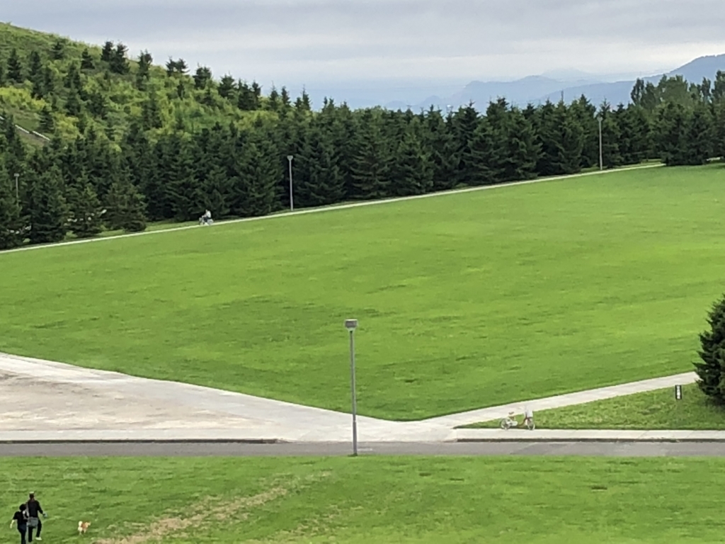 f:id:hanatarehanatan:20180716162634j:plain