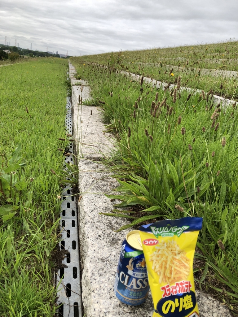 f:id:hanatarehanatan:20180716162705j:plain