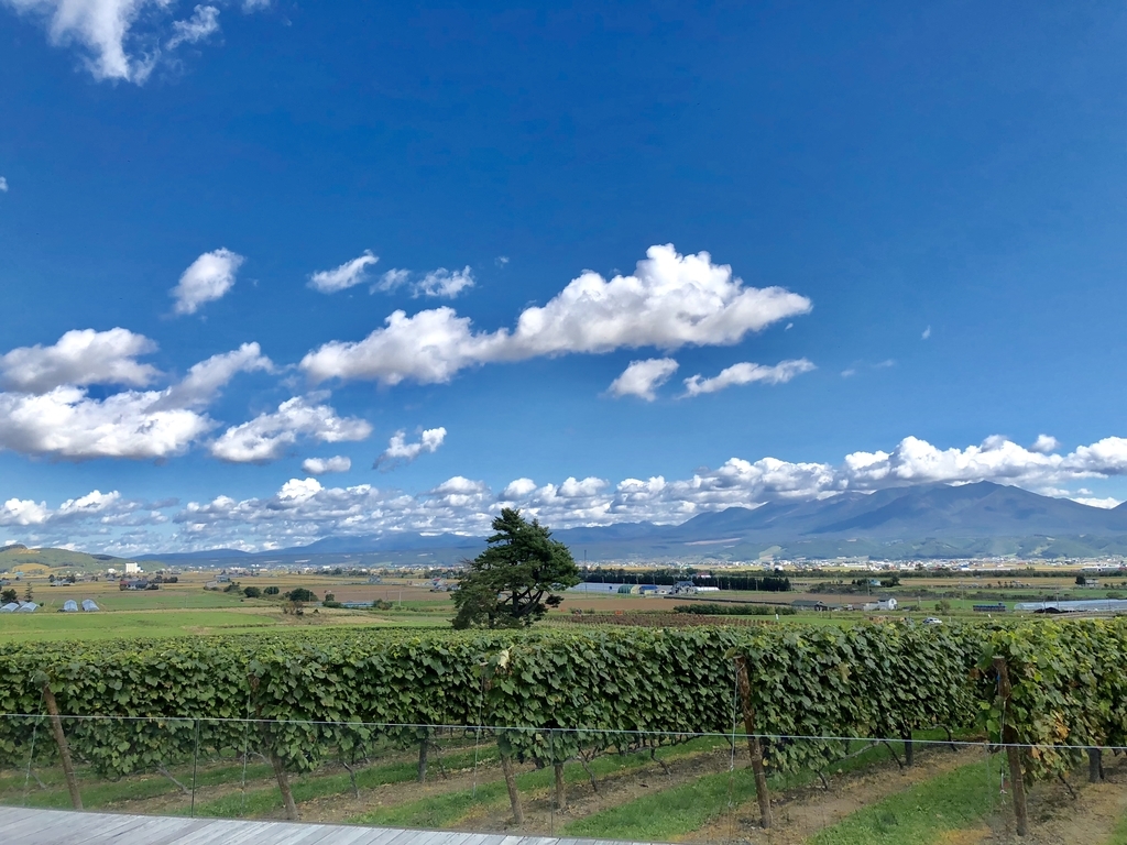 f:id:hanatarehanatan:20180926195203j:plain