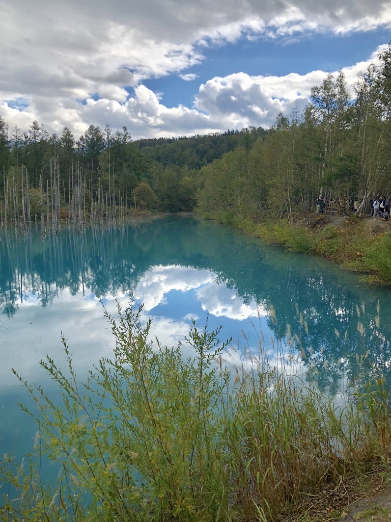 f:id:hanatarehanatan:20180926195545j:plain