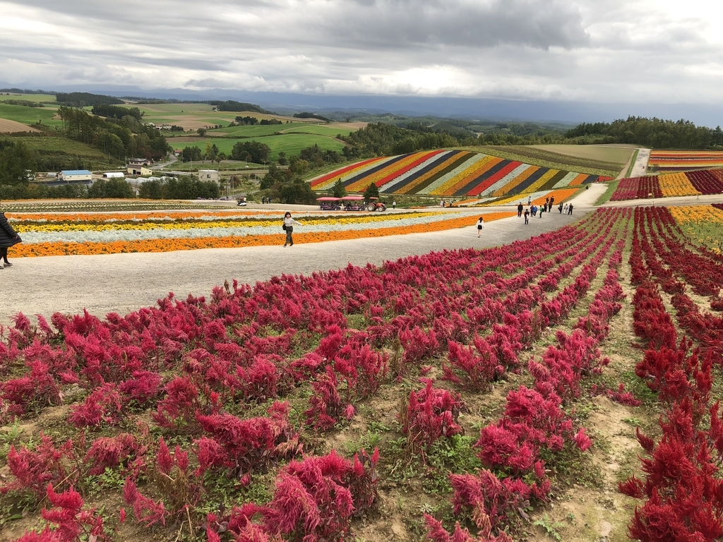 f:id:hanatarehanatan:20180926195633j:plain