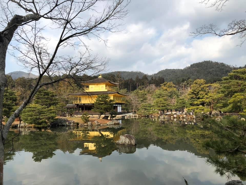 f:id:hanatarehanatan:20190114155116j:plain