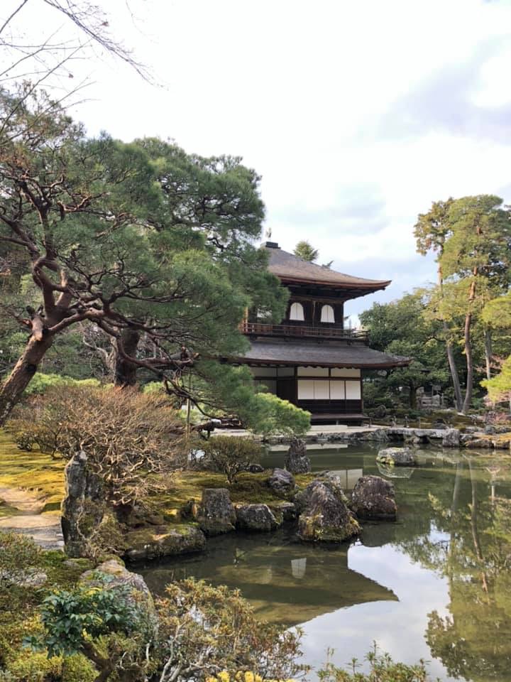 f:id:hanatarehanatan:20190114155204j:plain