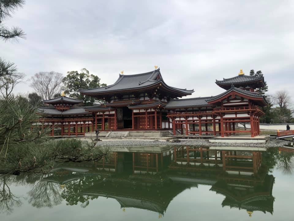 f:id:hanatarehanatan:20190114155517j:plain