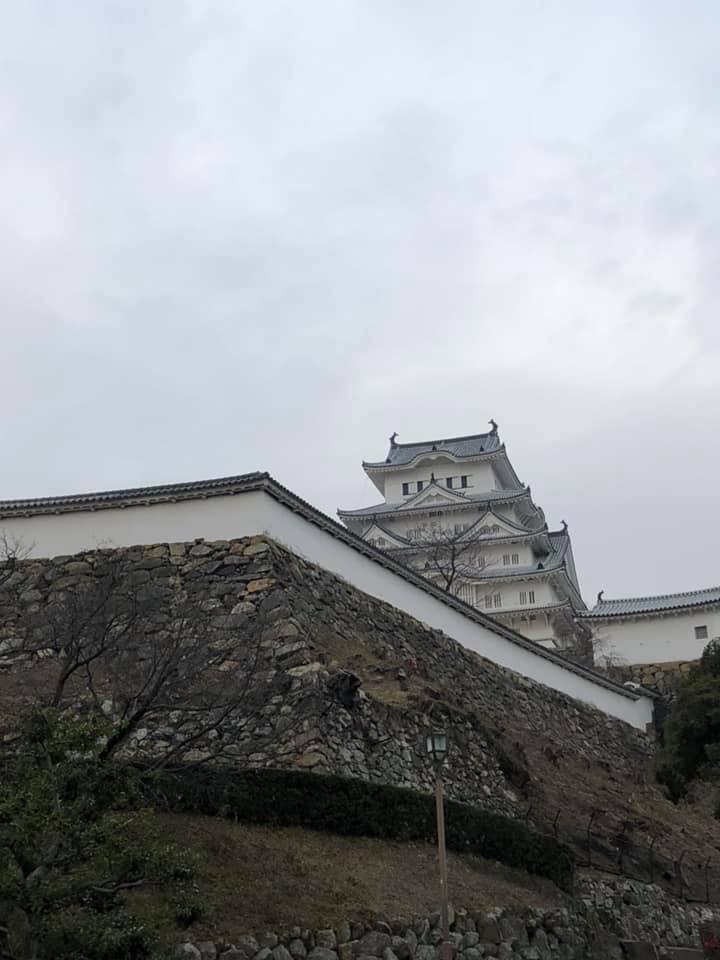 f:id:hanatarehanatan:20190114155603j:plain