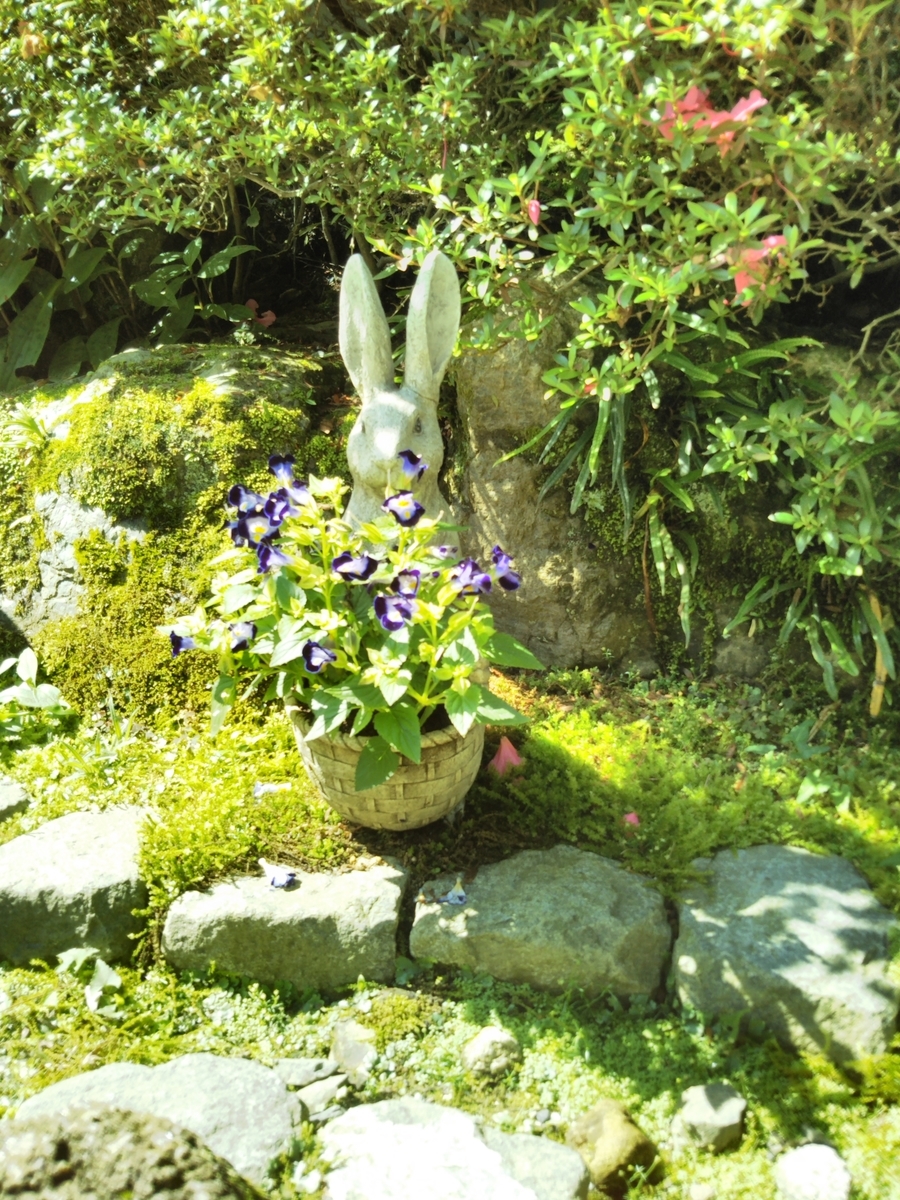 f:id:hanateba:20190611110554j:plain f:id:hanateba:20190611110554j:plain