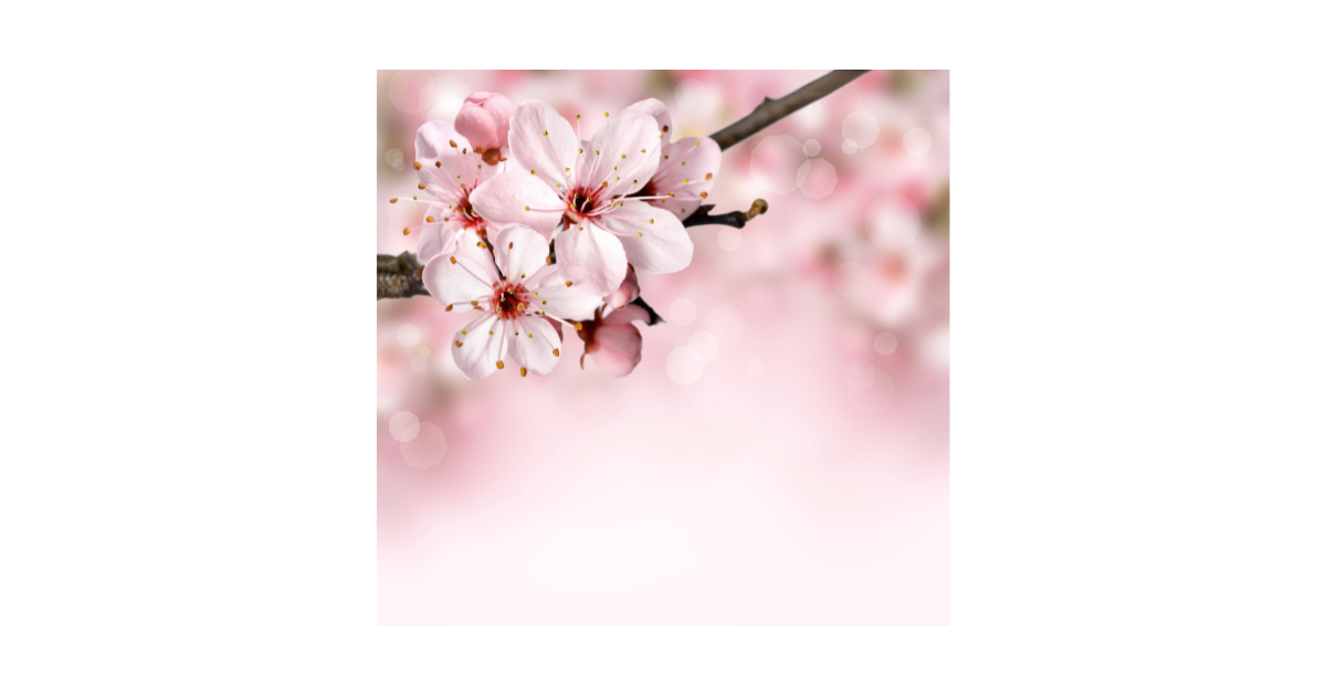 f:id:hanatirusatox:20210623113307p:plain