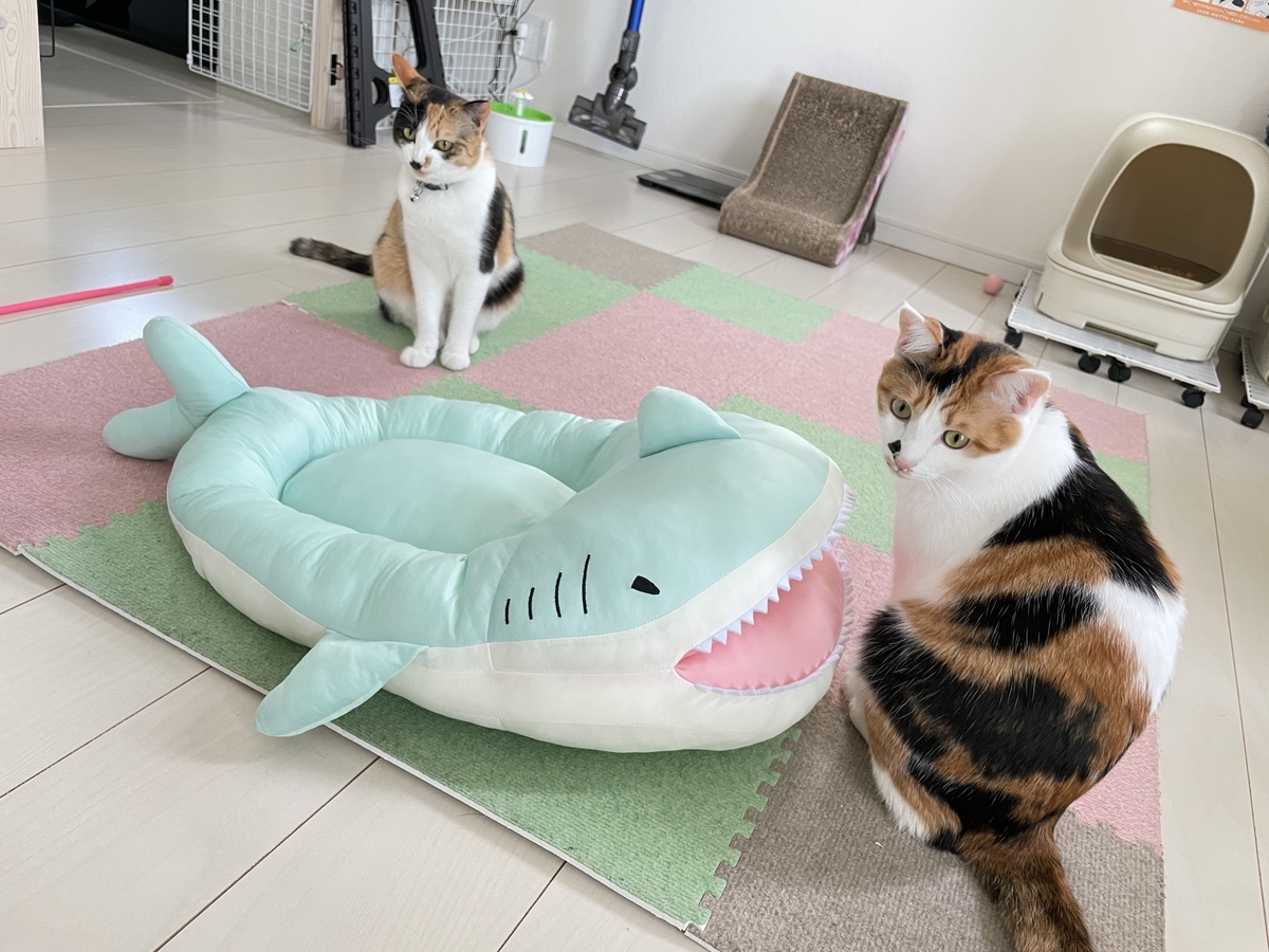 冬の厚い洗える猫砂のサメでクローズネストペットの猫の家の暖かいです62良い物 冬もぽかぽか暖かいサメ型の猫ハウス｜ネコモノ帳