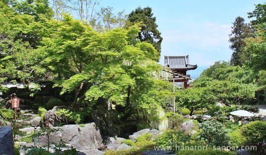 當麻寺奥院の浄土庭園楼門