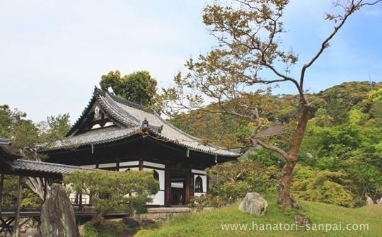 高台寺の庭園