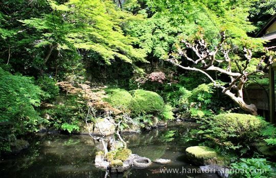 長楽寺の庭