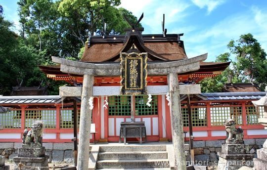 錦織神社の本殿