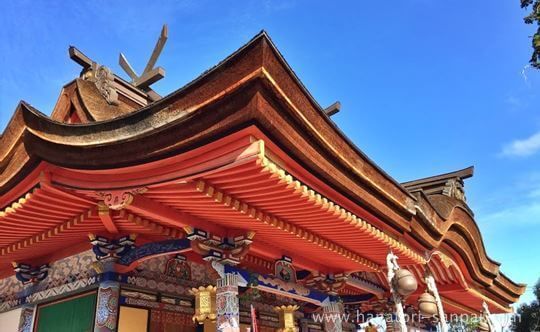 錦織神社の本殿横から