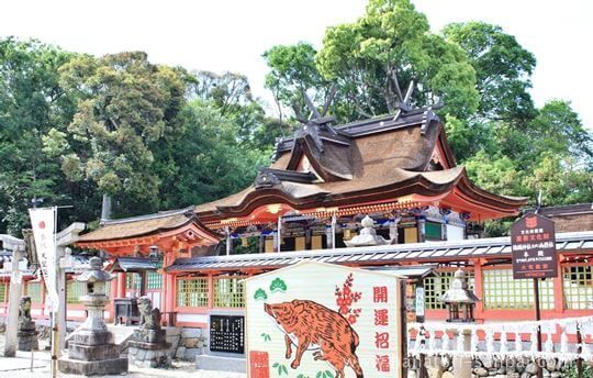 錦織神社の本殿ななめから